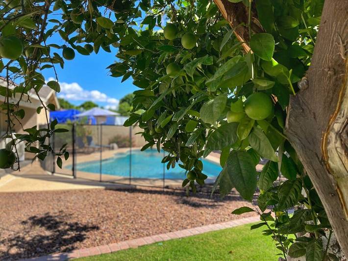 Vacation rental for 9 people, with yard in Mesa