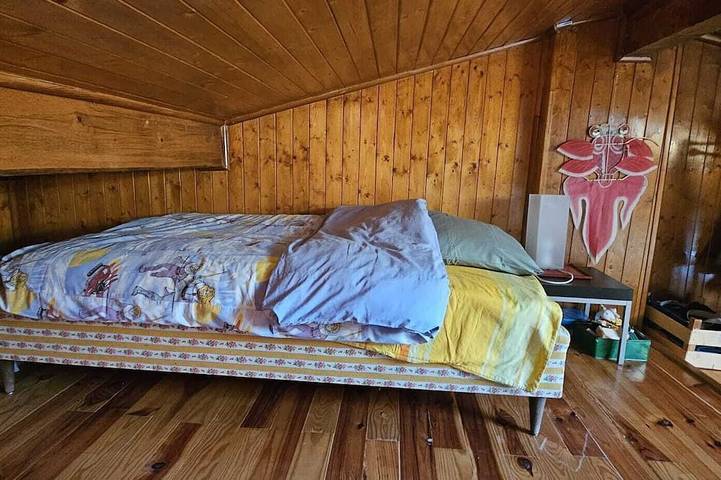 Location de vacances pour 4 personnes, animaux acceptés à Valjouffrey - 3