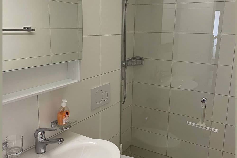 Ganze Wohnung, Wohnung Ohlenroth-Kalberer, (Sarn-Lescha). in Sarn, Cazis