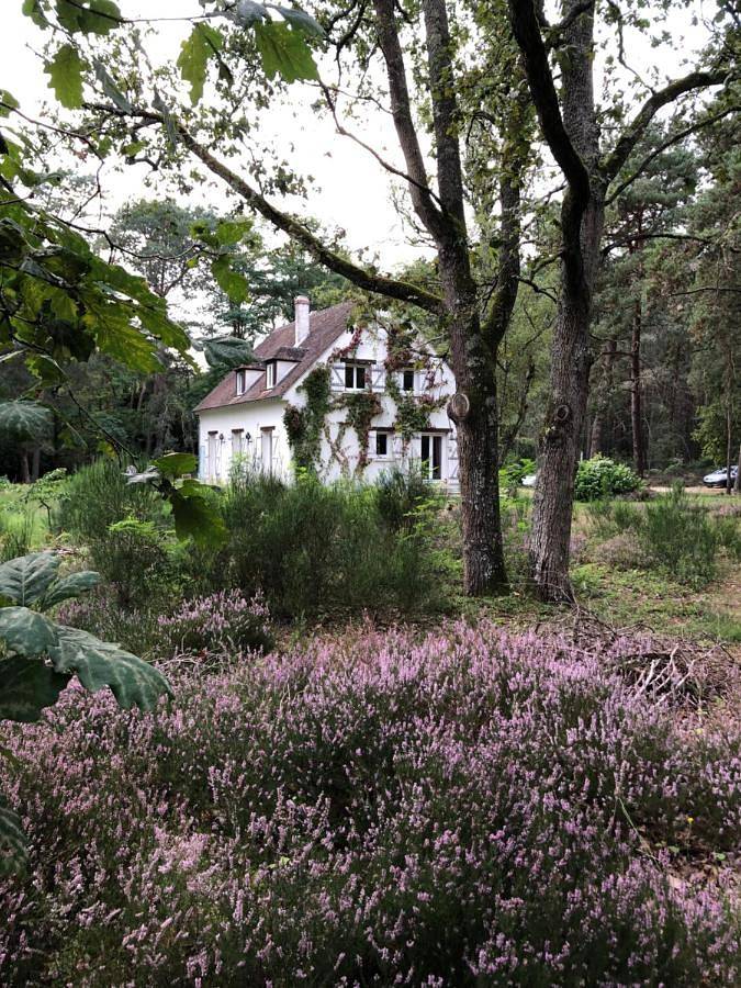 Chambres au coeur du Massif des Trois Pignons in Noisy-sur-École, Seine-et-Marne