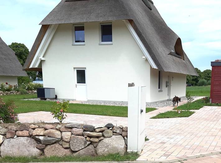 Ferienhaus für 6 Personen, mit Sauna am Salzhaff