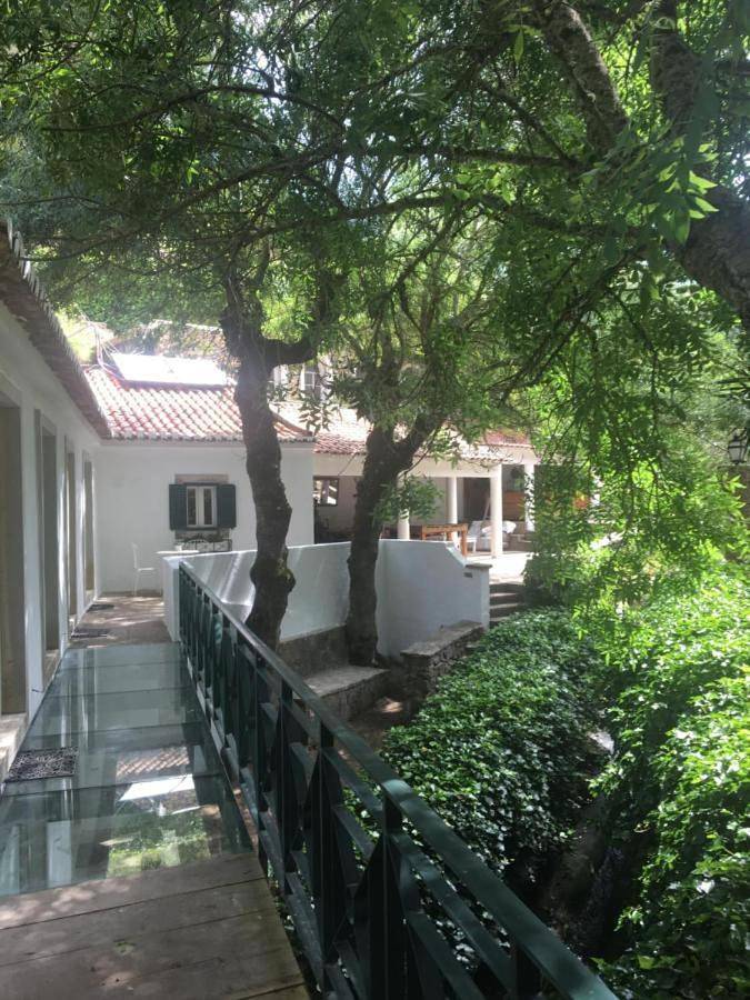 Sintra Center Guest House in São Martinho (Sintra), Sintra