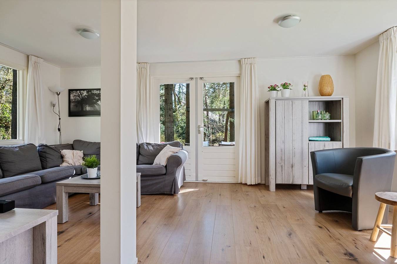 Freistehendes 6-Personen-Ferienhaus mit großem Garten im Wald bei Norg. in Drenthe