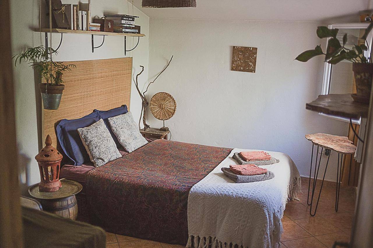 Maison atypique avec vue colline & terrasse cocoon in Montfort-sur-Argens, Région de Brignoles