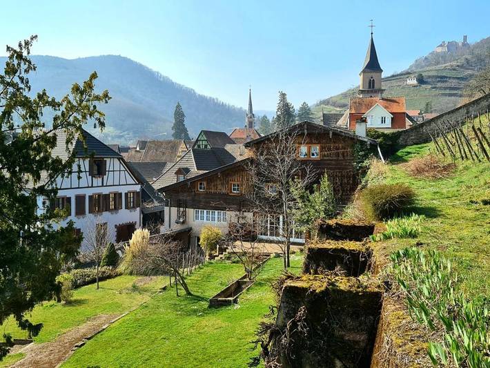 Chambre d’hôte pour 13 personnes, avec vue et jardin, adapté aux familles à Ribeauvillé - 4