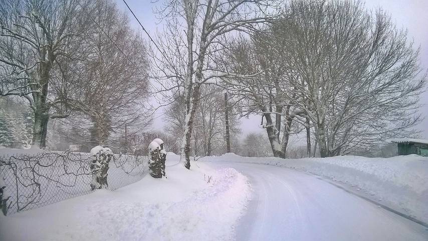 Gîte pour 5 personnes, avec jardin et terrasse, animaux acceptés à Saint-Romain (Puy-de-Dôme) - 4