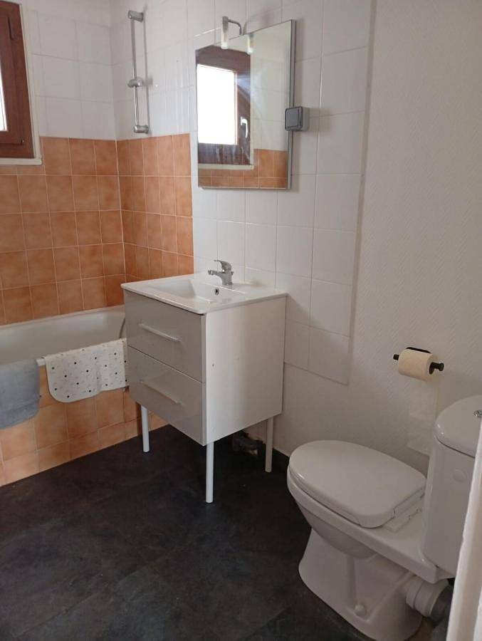 Gîte pour 3 personnes, avec jardin, animaux acceptés à Saint-Pryvé-Saint-Mesmin - 3