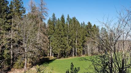 Ferienwohnung für 4 Personen in Sankt Georgen im Schwarzwald, Hochschwarzwald, Bild 1