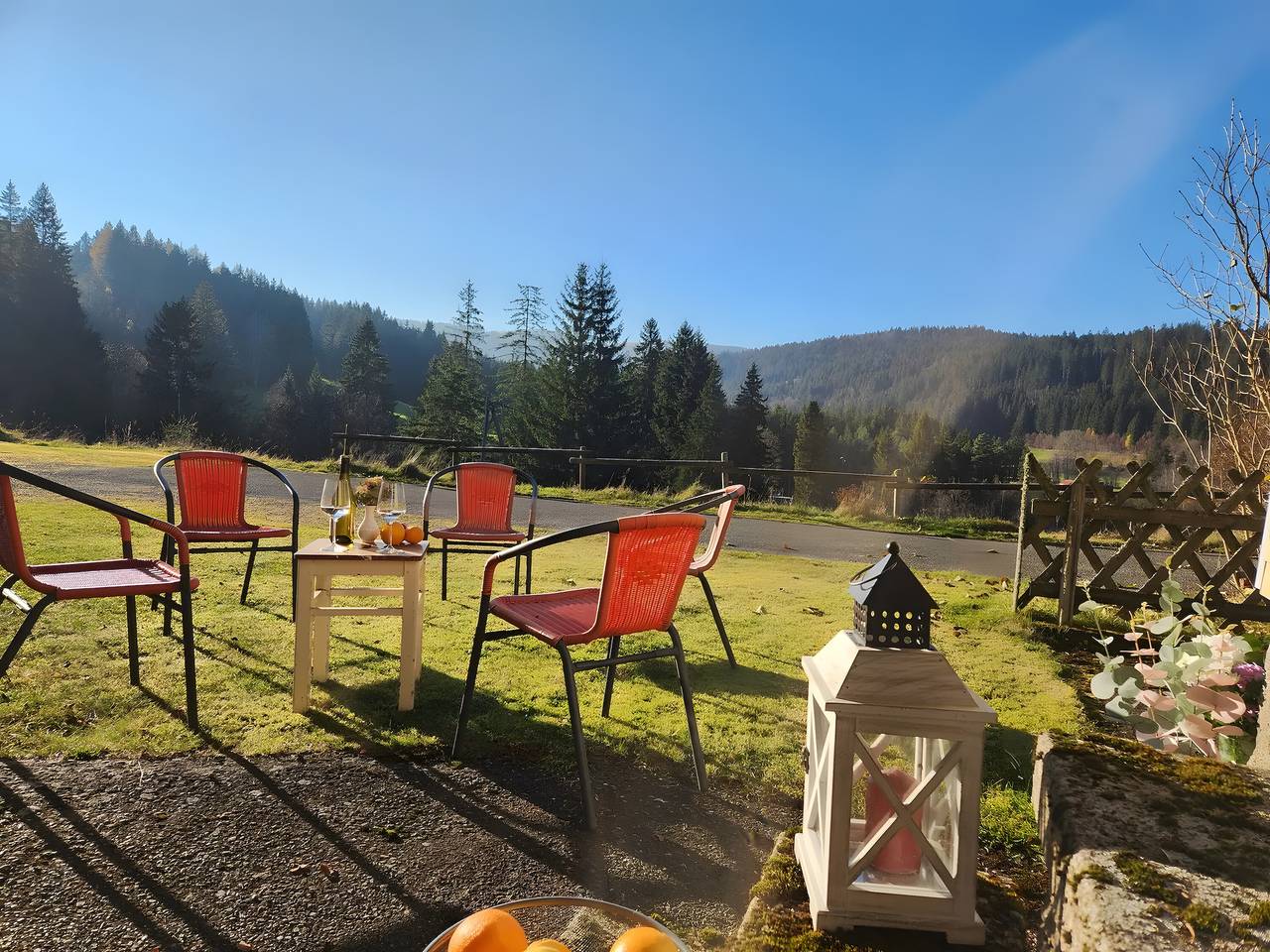Ganze Wohnung, Apartment 'Alte Schmiede 2 Fewos' mit Bergblick, privater Terrasse und Wlan in Suedlicher Schwarzwald, Feldberg