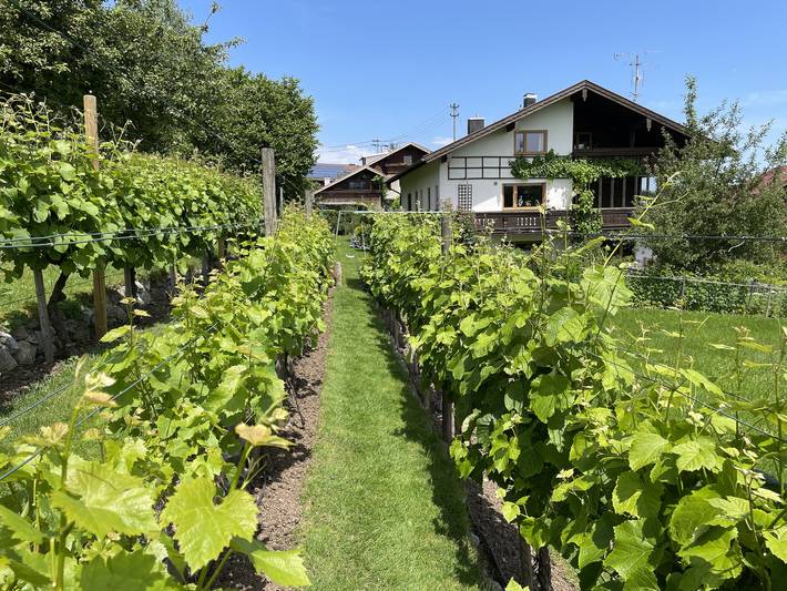 Ferienwohnung für 4 Personen, mit Balkon und Garten in Rimsting - 3