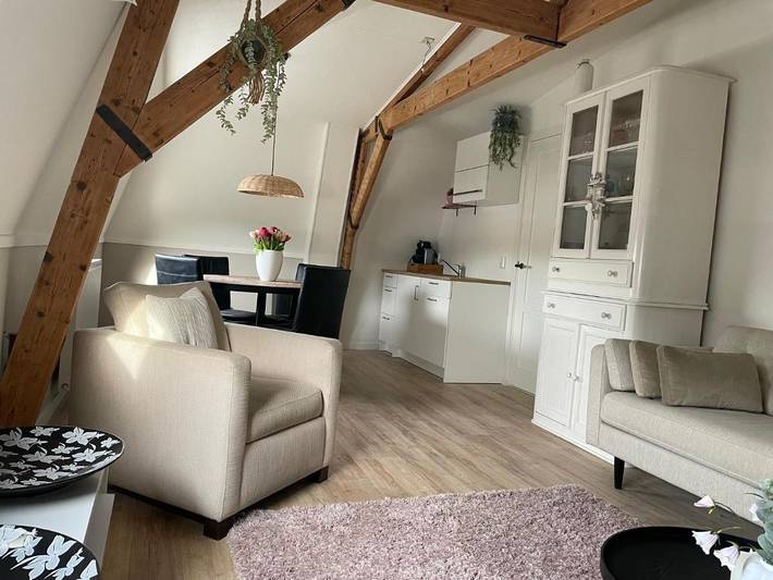 Gîte pour 5 personnes, avec vue et jardin à Leiden - 4