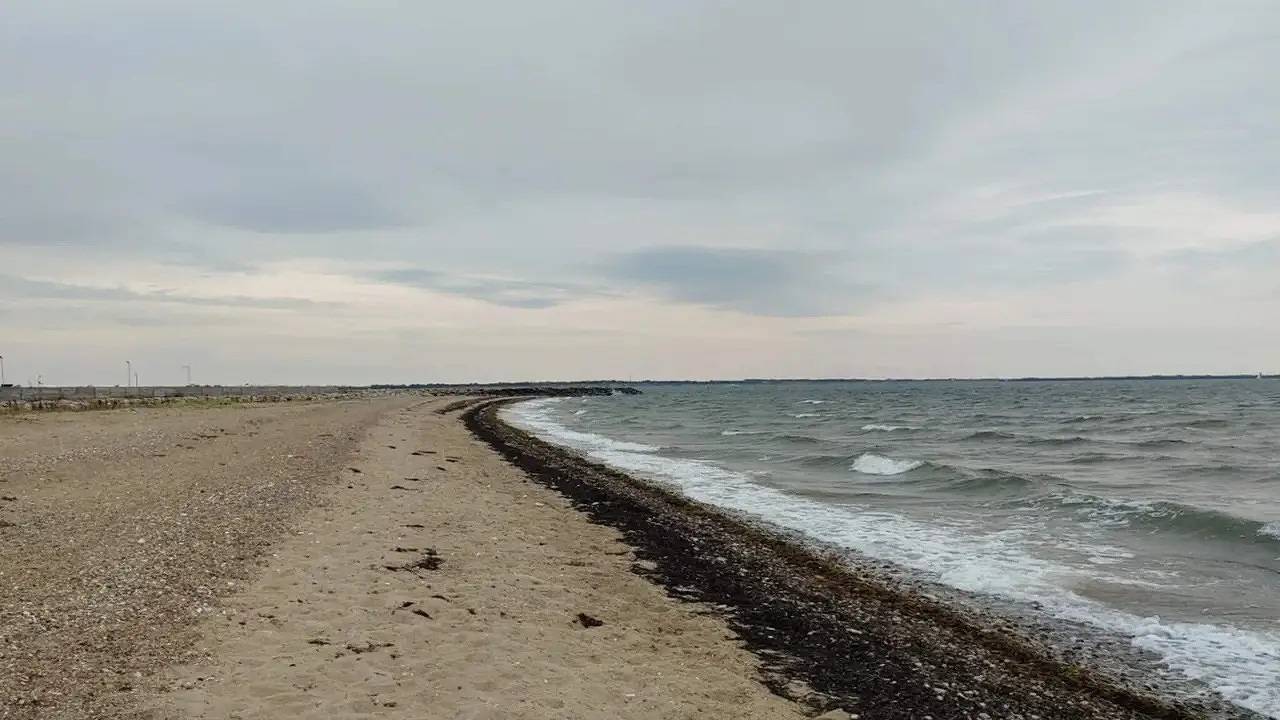 Ferienhaus für 6 Personen (90 m²) in Øster Assels in Morsø, Limfjord in Nordjütland
