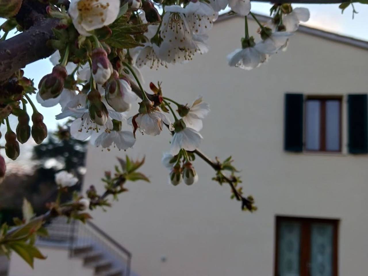 Natur, Komfort und Entspannung in Monticiano, Siena Provinz