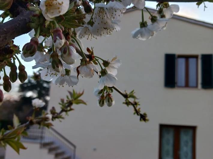 Natur, Komfort und Entspannung in Monticiano, Siena e dintorni