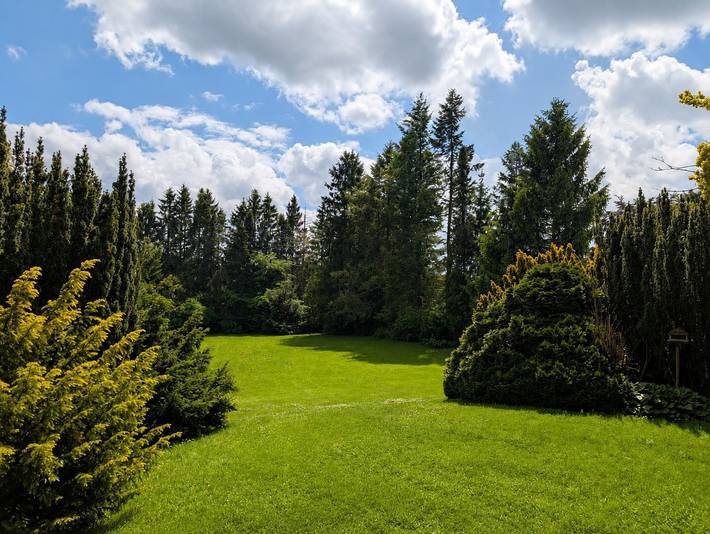 Großes Familien- und Gruppenhaus mit 5 Schlafzimmern, Kamin und Garten in Hahnenklee, Goslar