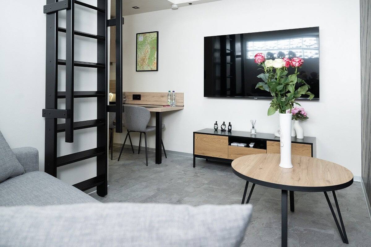 Appartement entier, Studio Le Quartz tout inclus petitdéjeuner in Éloyes, Région d'Épinal