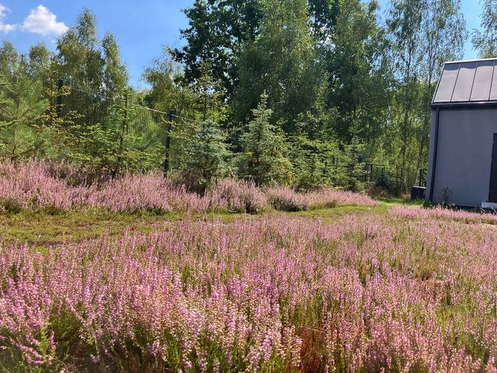 Wrzosowisko - Forest Hideaway for Two in Masovia