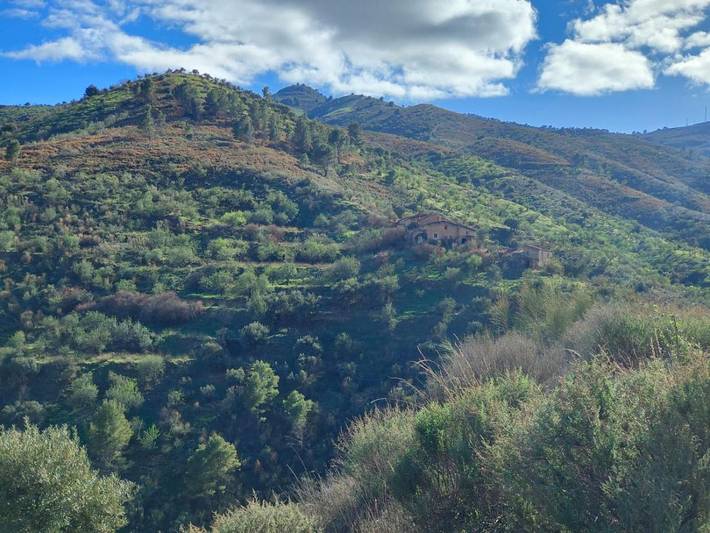 Casa rural para 13 personas, con Balcón y Terraza además de Jardín y Piscina en Sorvilán - 4