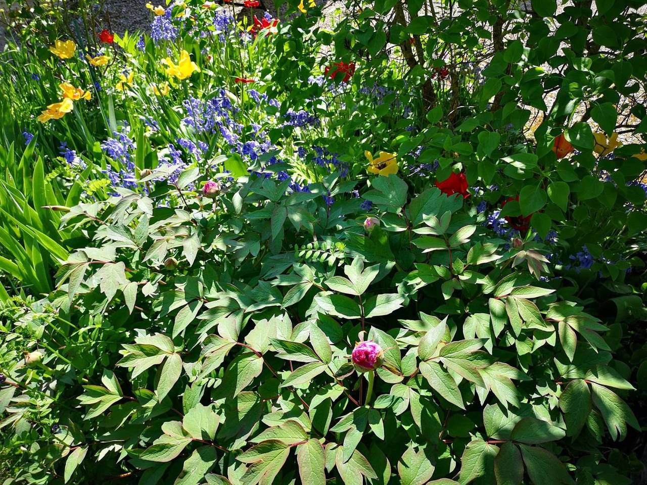 Bed and Breakfast for 5 people with garden in Mâlain, Dijon region