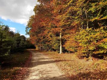 Ferieudlejning til 6 Personer i Karrebæksminde, Enø, Billede 1