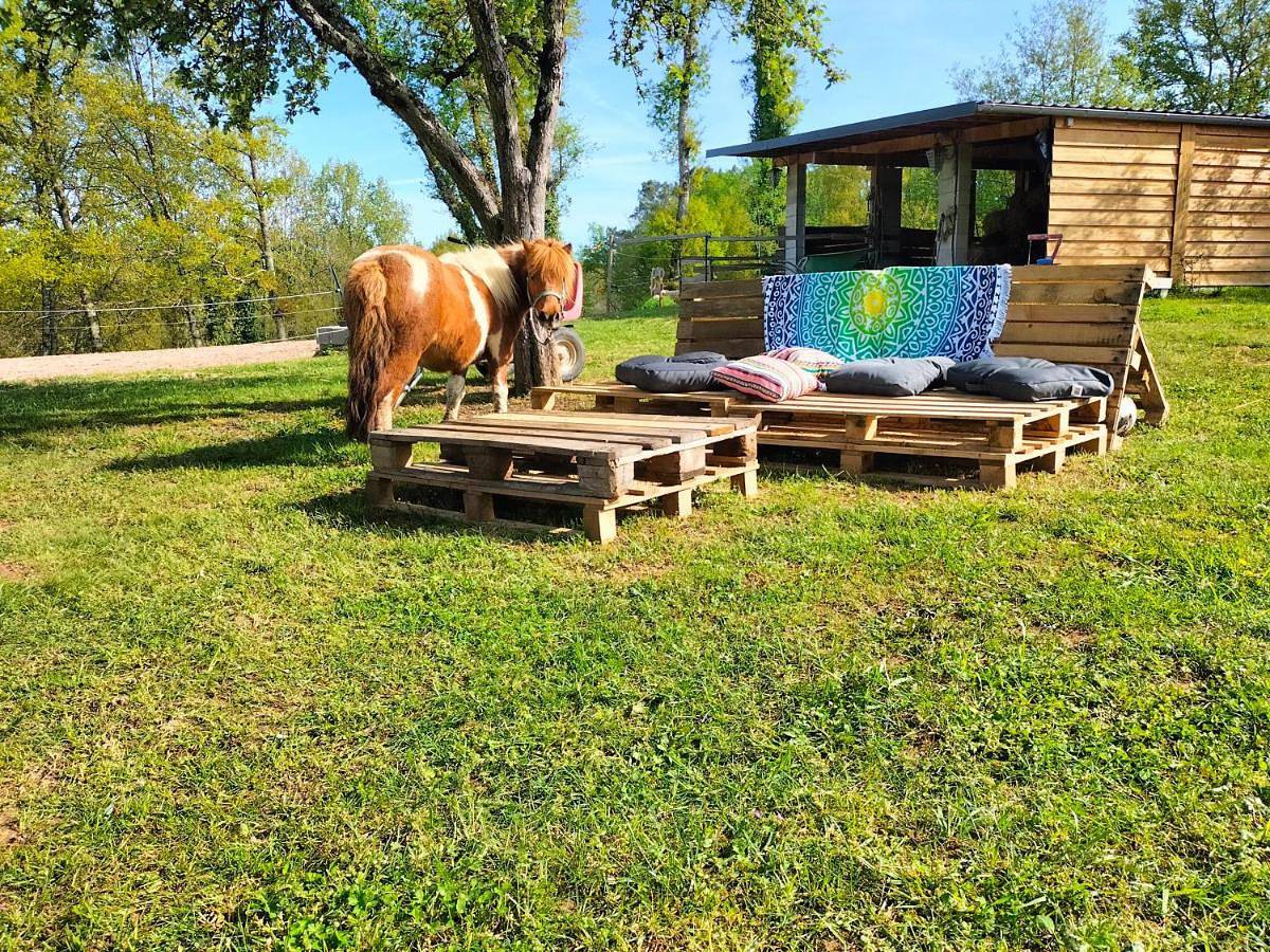 Luxe safarilodgetent met boxspring bedden in Montcléra, Quercy