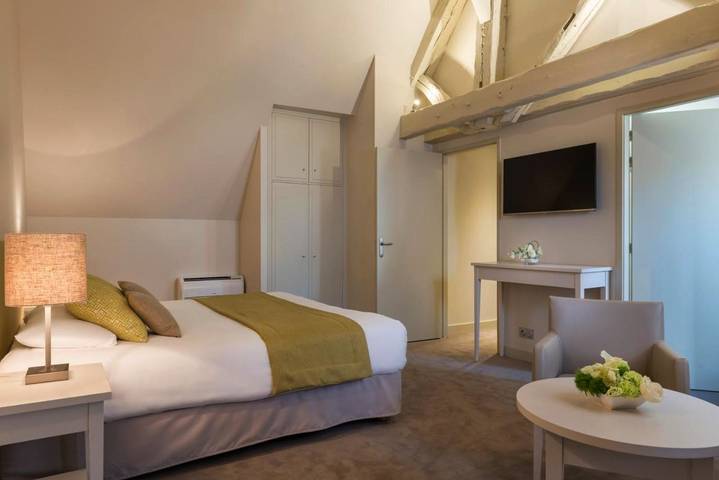 Hôtel pour 2 personnes, avec terrasse ainsi que sauna et jacuzzi, animaux acceptés à Provins - 3