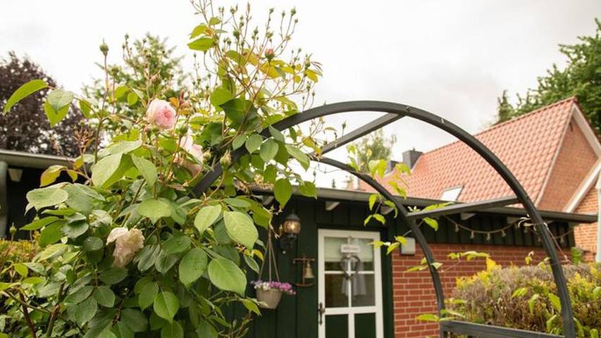 Ferienwohnung für 4 Personen, mit Terrasse, mit Haustier in Kreis Herzogtum Lauenburg - 2