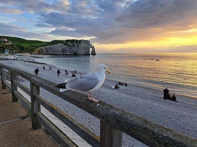 Location de vacances pour 12 personnes, avec vue et jardin à Ganzeville