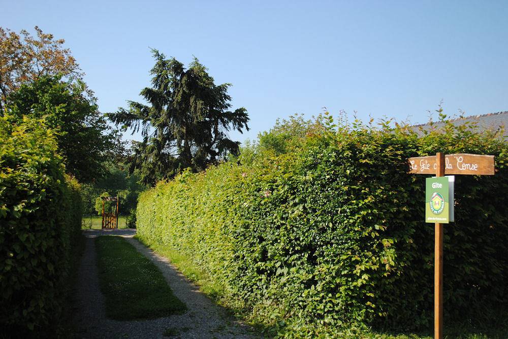 Gîte de la Cense in Landouzy-la-Ville, Aisne