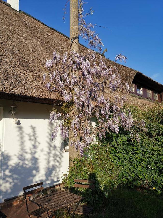 Ganze Wohnung, Two-Bedroom Apartment in Stove, Boiensdorf