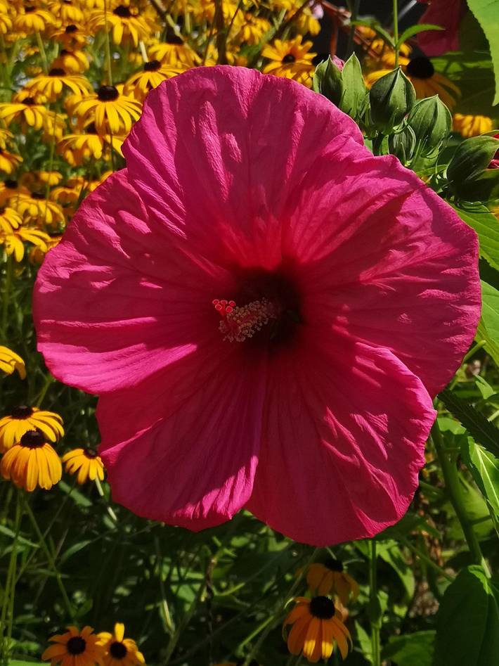 Ferienwohnung für 2 Personen, mit Ausblick und Seeblick sowie Garten und Terrasse in Villach - 3