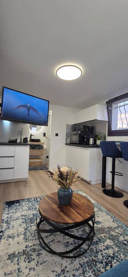 Appartement entier, One-Bedroom Apartment in Allinges, Région de Thonon-les-Bains