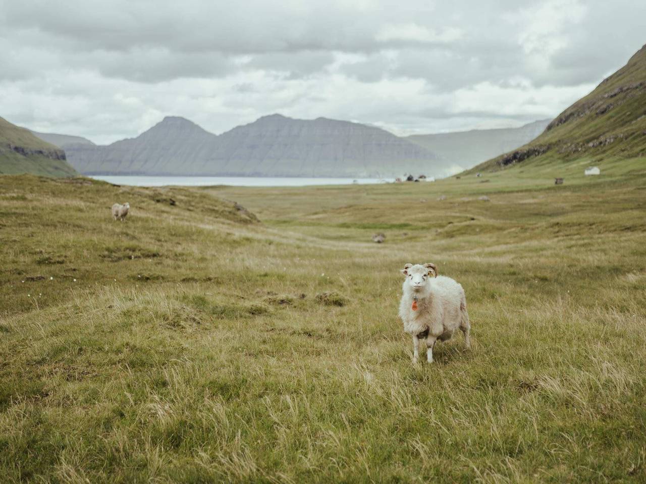 4 star holiday home in Hellur in Faroe Islands