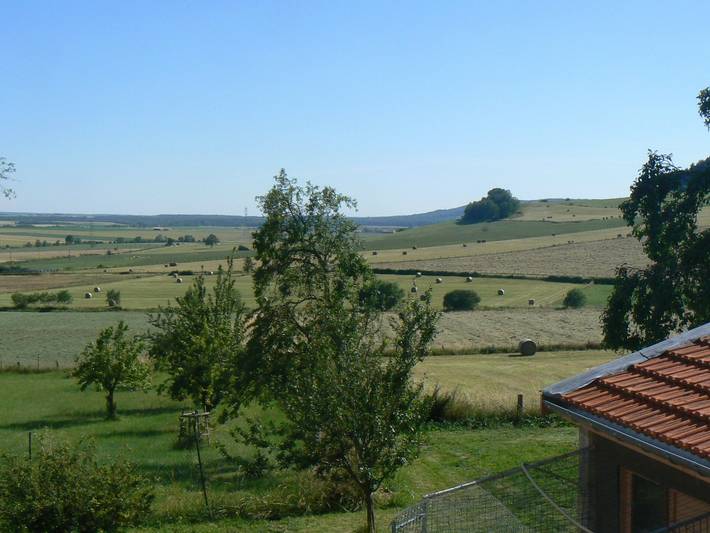 Gîte pour 6 personnes, avec jardin dans Toul - 4