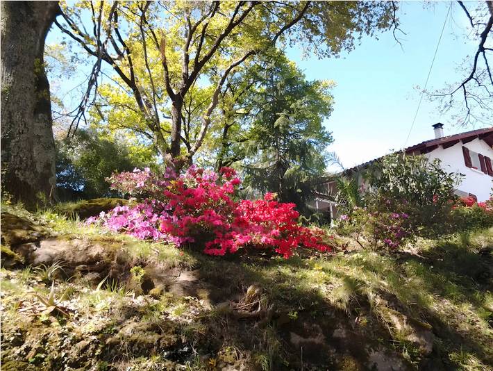 Location de vacances pour 4 personnes, avec jardin à Cambo-les-Bains - 4