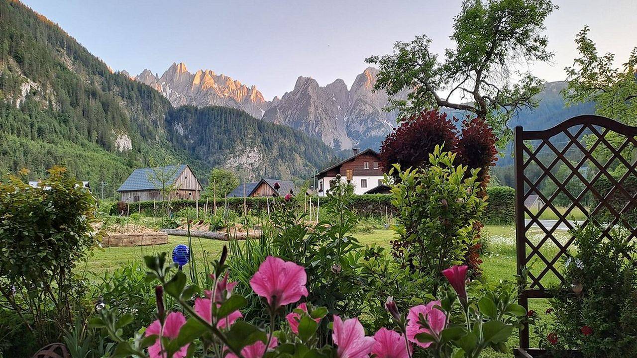 Cały apartament, Appartement für 3 Personen (35 m²) in Gosau in Gosau, Dachstein West