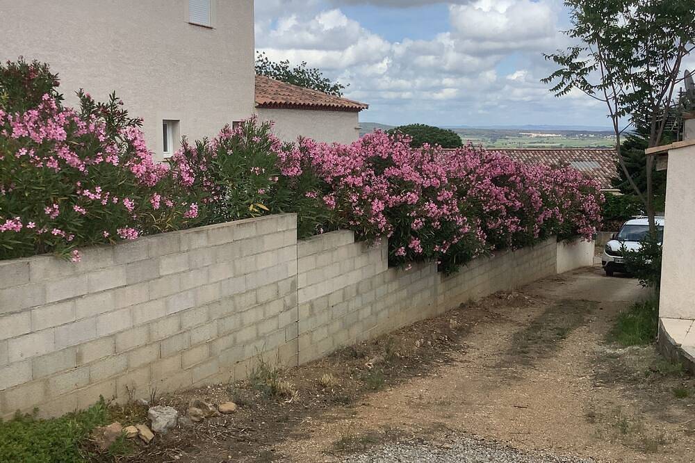 Gîte Avec Terrasse et Jacuzzi 30 Minutes cap d Agde in Roujan, Béziers region