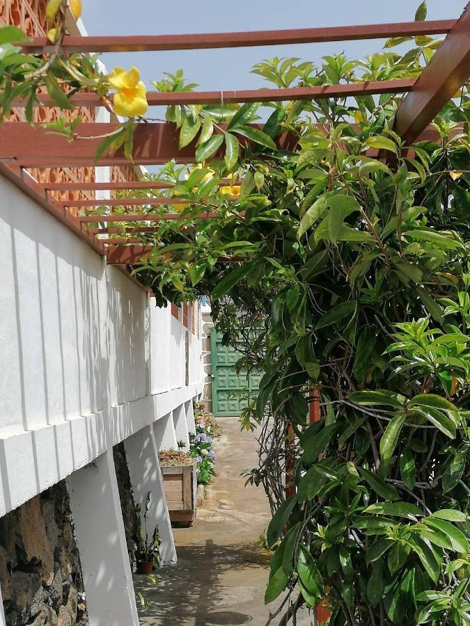 Chalet para 6 personas, con vistas además de jardín y piscina en La Palma - 3