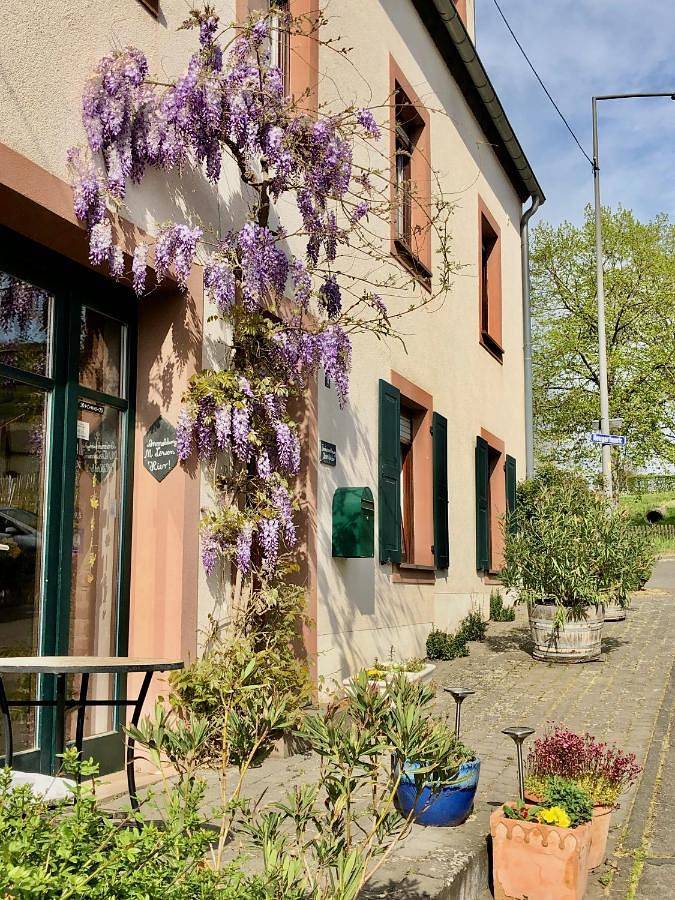 Ferienwohnung für 4 Personen, mit Garten und Ausblick - 1