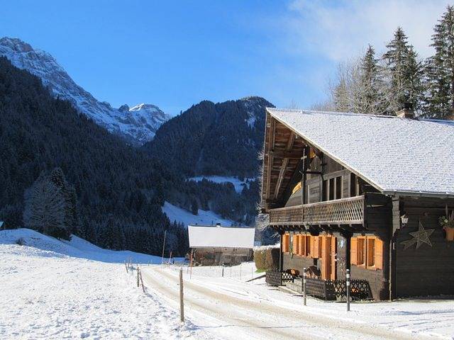 Ganze Ferienwohnung, Chalet le Petit Ruan - 2-Zimmerwohnung in Champéry, Portes du Soleil