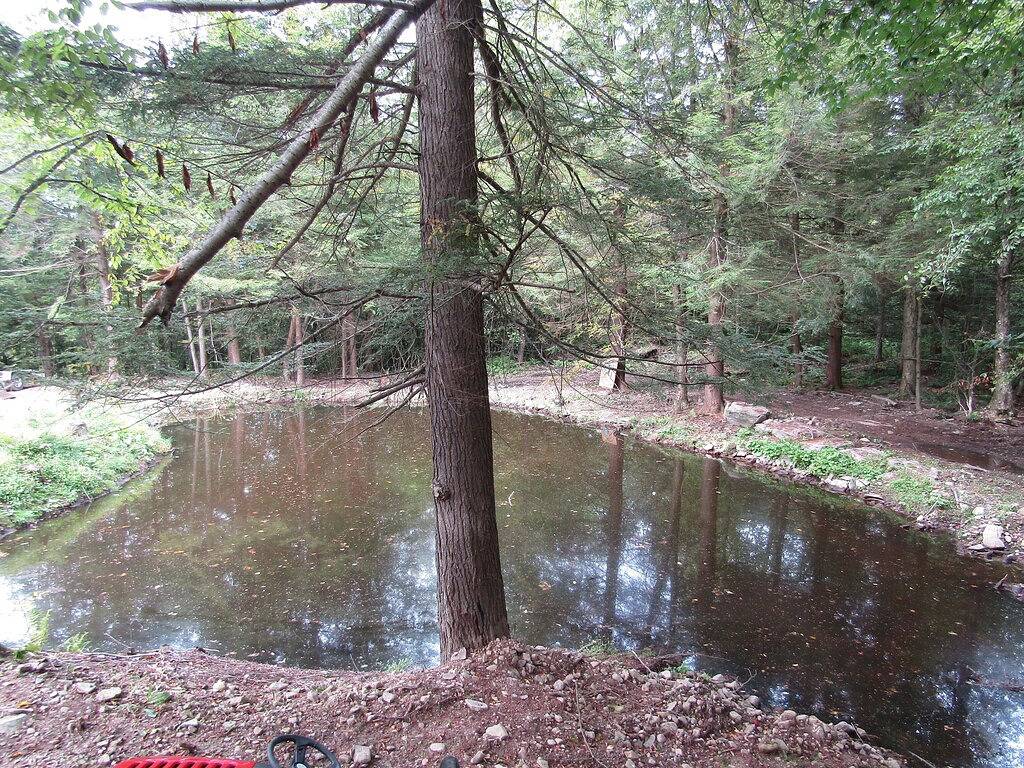 Roscoe Cottage \"Haustierfreundlich\" 12.00 Uhr Check-In in Sullivan County