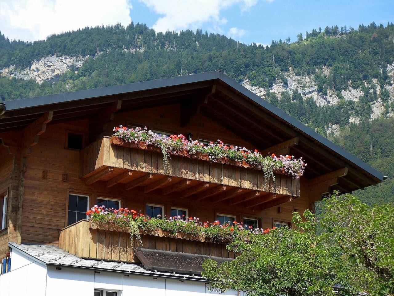 Ganze Wohnung, Oltschiblick - Oltschiblick 150.1 in Brienzwiler, Berner Oberland