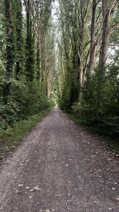 Location de vacances pour 6 personnes, avec jardin et terrasse à Chambly - 3