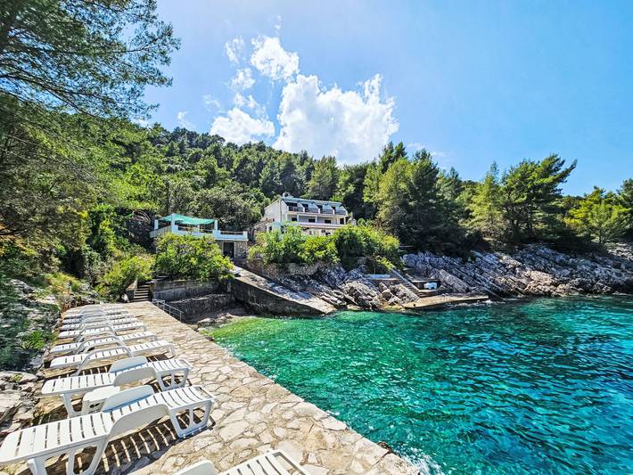 Hel lejlighed, Octopus in Hvar