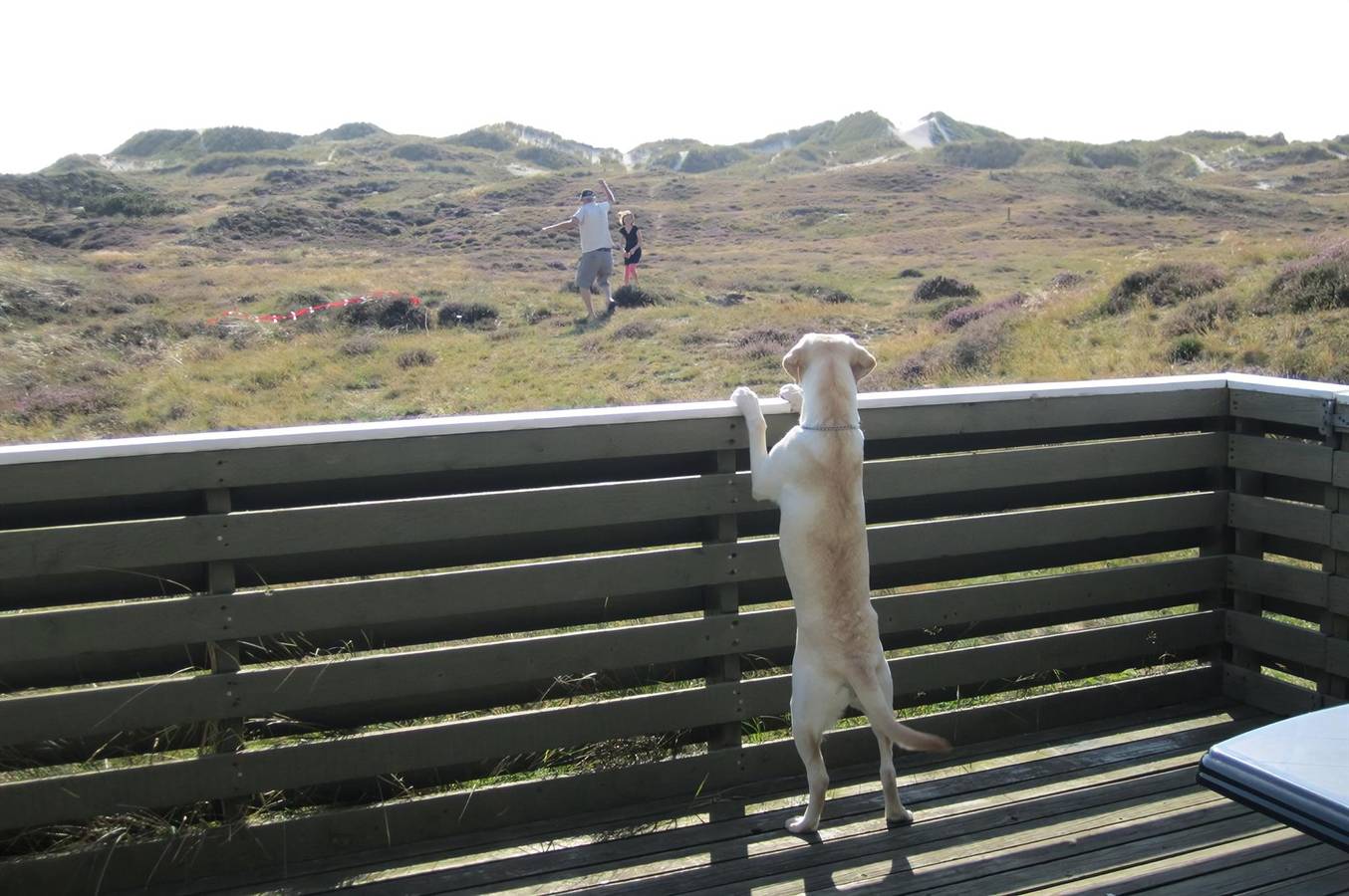 Amazing home in Fanø w/ in Sønderho, Fanø