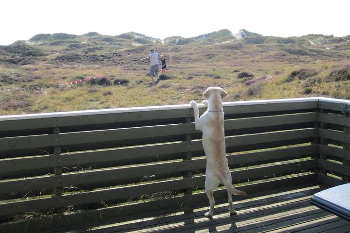 Ferienhaus für 5 Personen, mit Sauna und Terrasse auf Fanø - 2