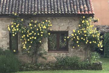 Casa De Vacaciones para 8 Personas en Acebo, Provincia de Cáceres, Foto 4