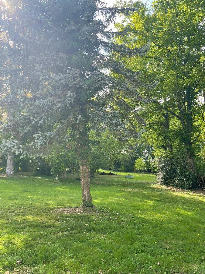 Gîte pour 4 personnes, avec jacuzzi et piscine ainsi que jardin et sauna dans La Bâtie-Montgascon - 3