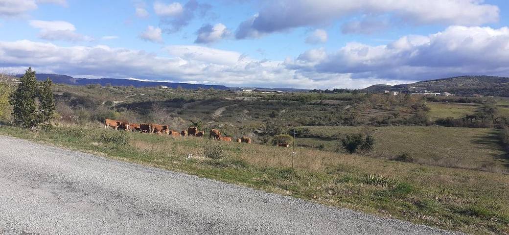Location de vacances pour 3 personnes, avec piscine ainsi que jardin et vue, adapté aux familles à Villeneuve-de-Berg - 2