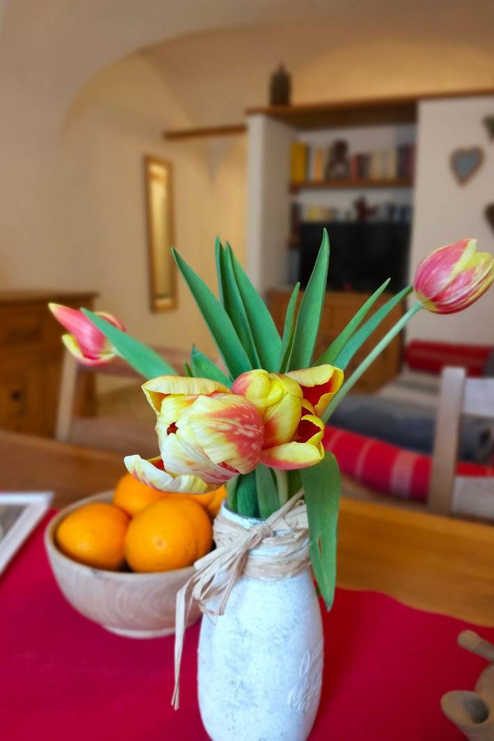 Gîte pour 2 personnes, avec jardin et piscine, animaux acceptés dans Roisan - 4